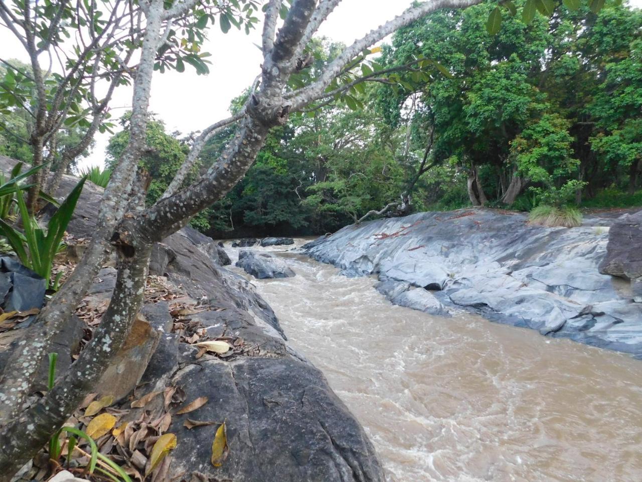 Galapita Eco Lodge Buttala ภายนอก รูปภาพ