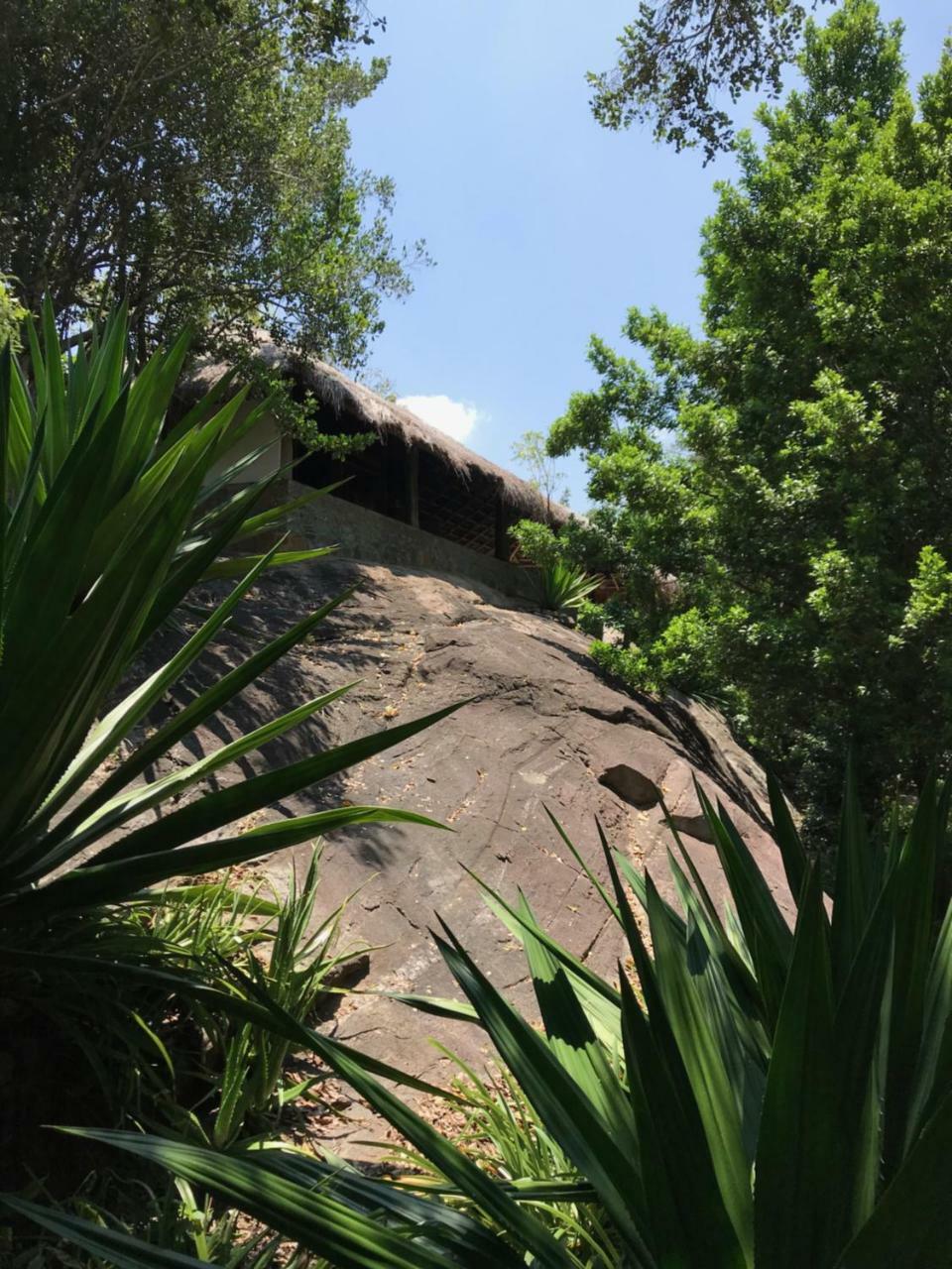 Galapita Eco Lodge Buttala ภายนอก รูปภาพ