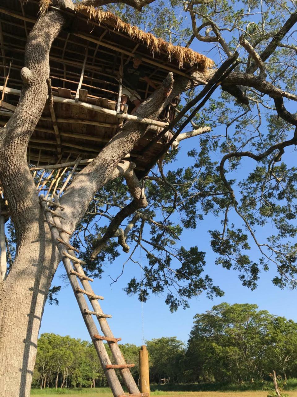 Galapita Eco Lodge Buttala ภายนอก รูปภาพ