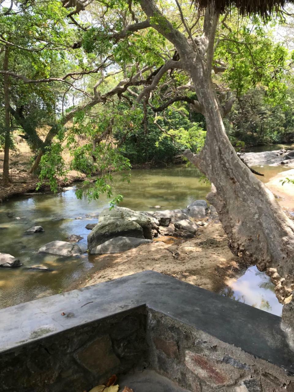 Galapita Eco Lodge Buttala ภายนอก รูปภาพ