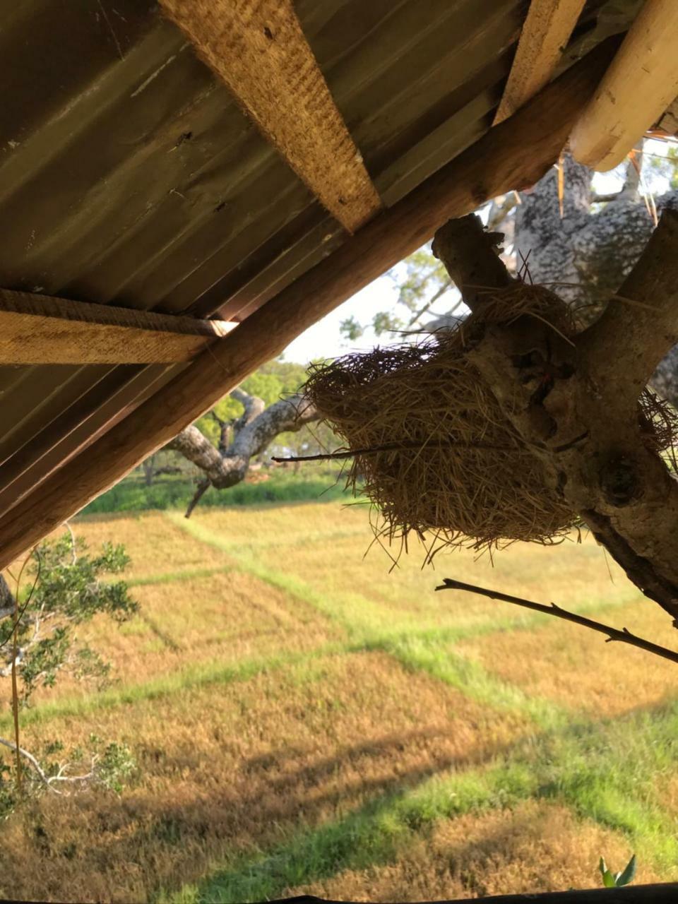 Galapita Eco Lodge Buttala ภายนอก รูปภาพ