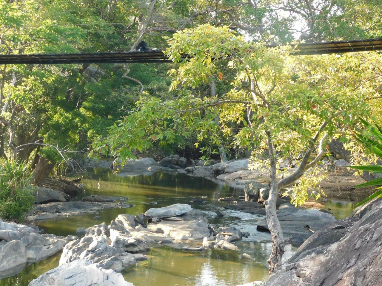 Galapita Eco Lodge Buttala ภายนอก รูปภาพ