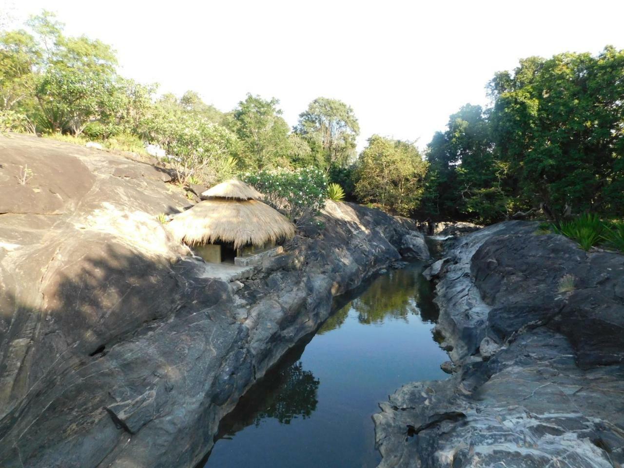 Galapita Eco Lodge Buttala ภายนอก รูปภาพ