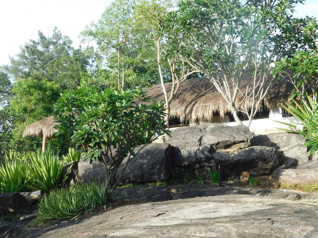 Galapita Eco Lodge Buttala ภายนอก รูปภาพ