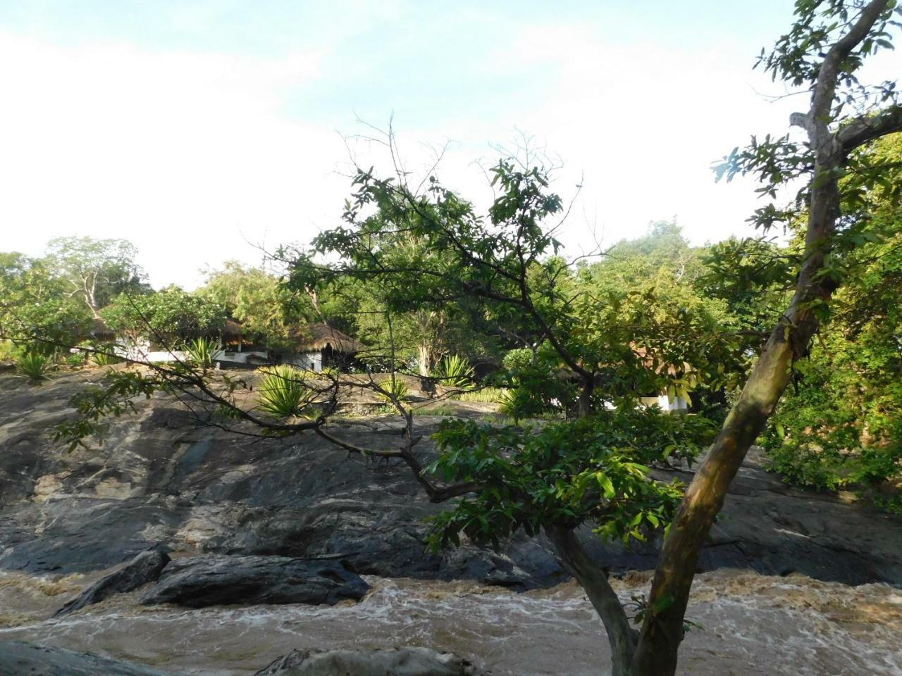Galapita Eco Lodge Buttala ห้อง รูปภาพ