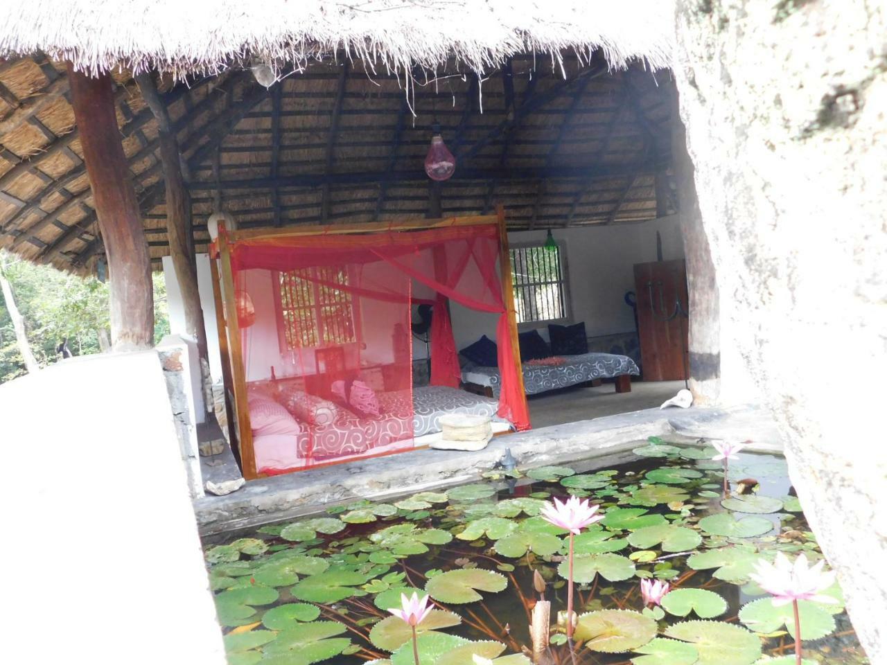 Galapita Eco Lodge Buttala ภายนอก รูปภาพ