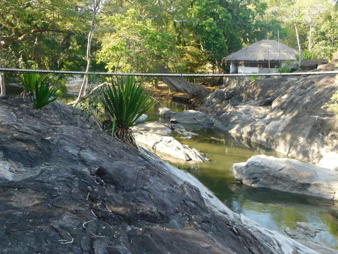Galapita Eco Lodge Buttala ภายนอก รูปภาพ