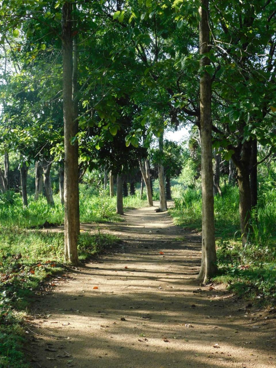 Galapita Eco Lodge Buttala ภายนอก รูปภาพ