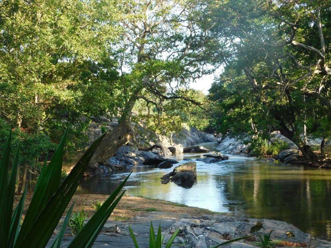 Galapita Eco Lodge Buttala ภายนอก รูปภาพ