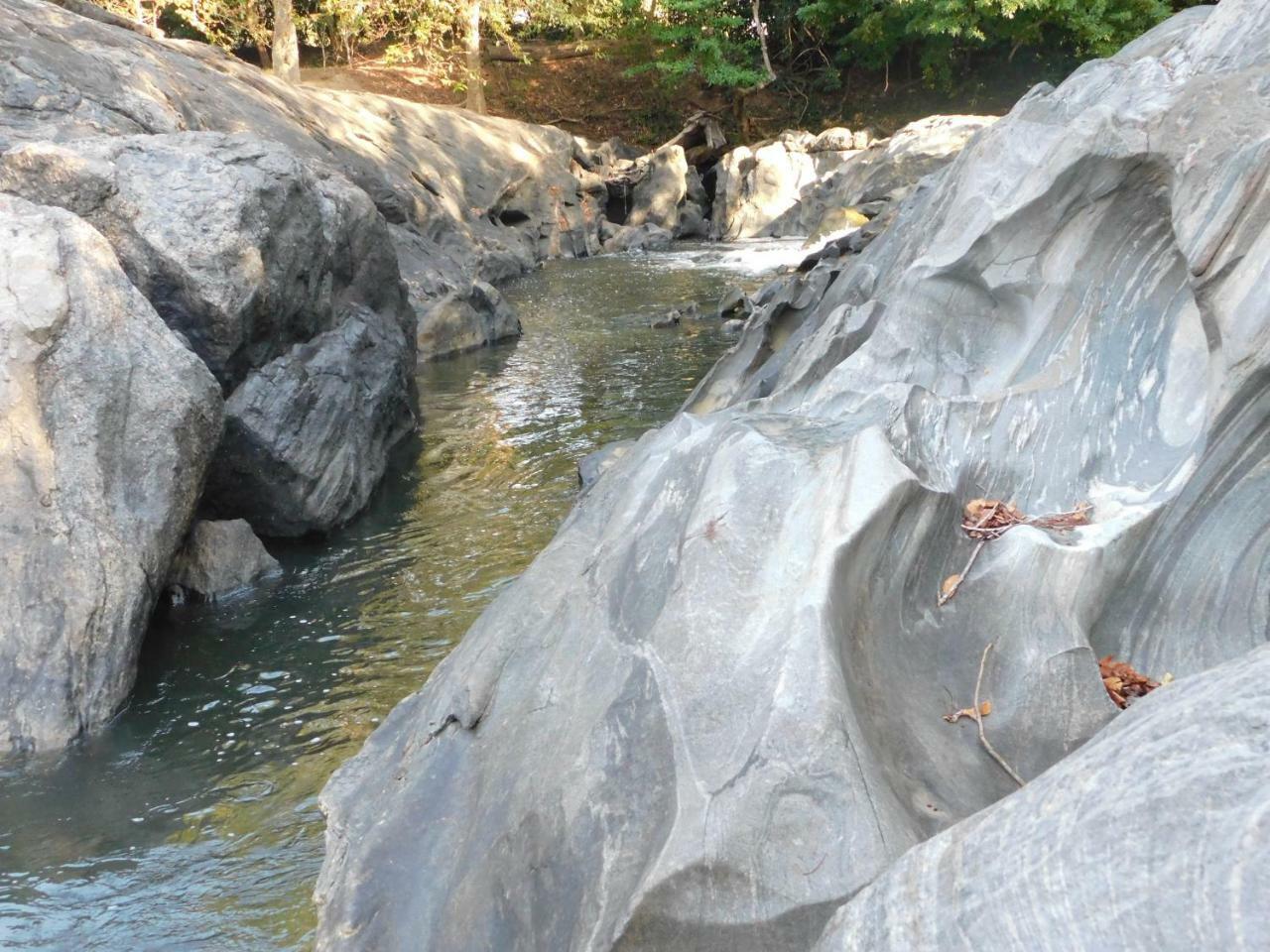 Galapita Eco Lodge Buttala ภายนอก รูปภาพ