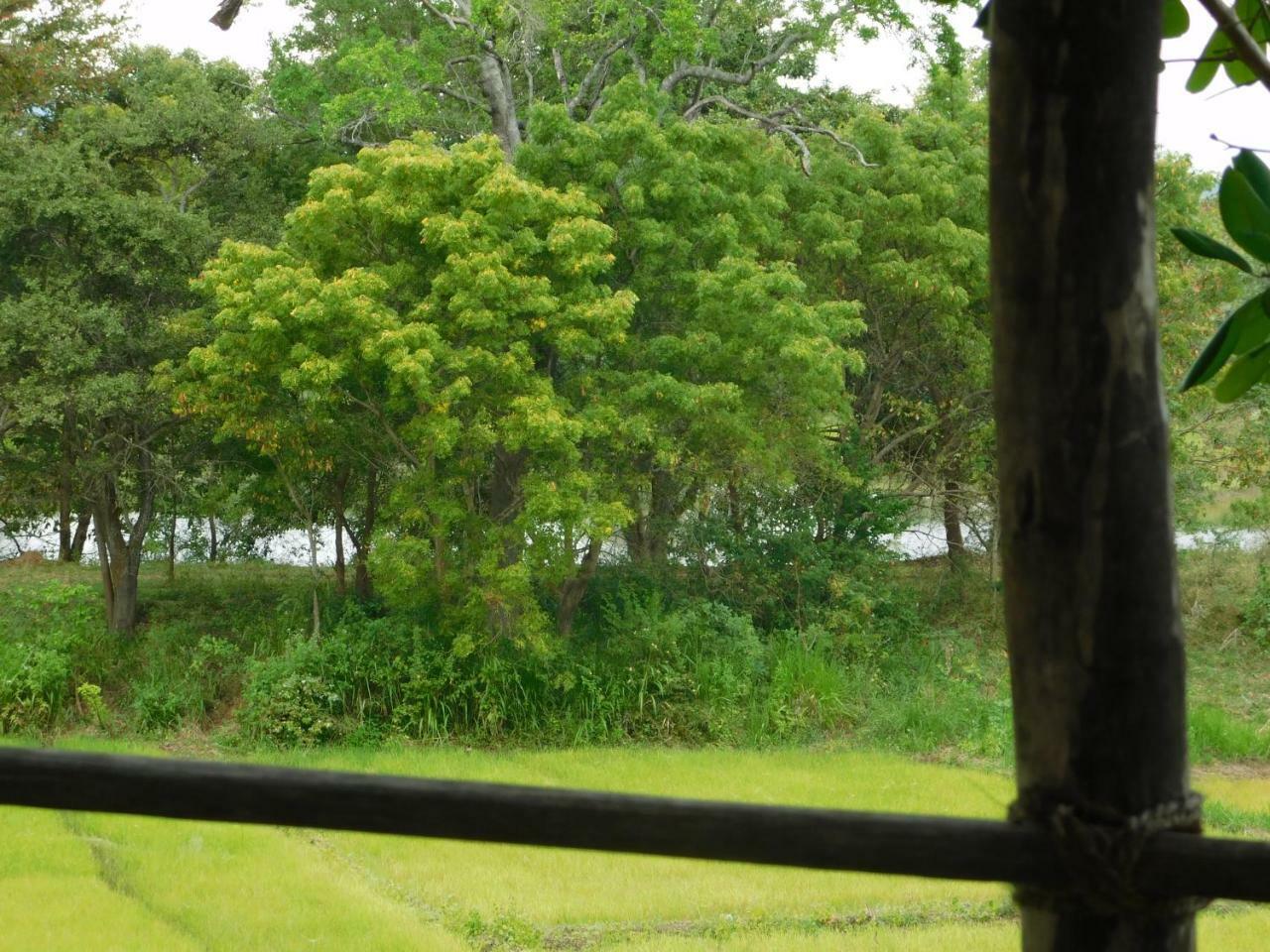 Galapita Eco Lodge Buttala ภายนอก รูปภาพ