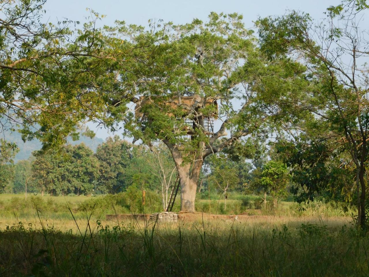 Galapita Eco Lodge Buttala ภายนอก รูปภาพ