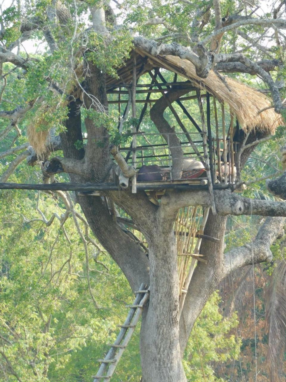 Galapita Eco Lodge Buttala ภายนอก รูปภาพ